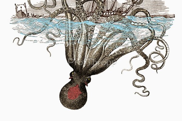 Kraken tor link