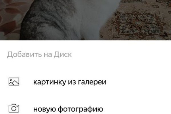 Прямая ссылка на кракен