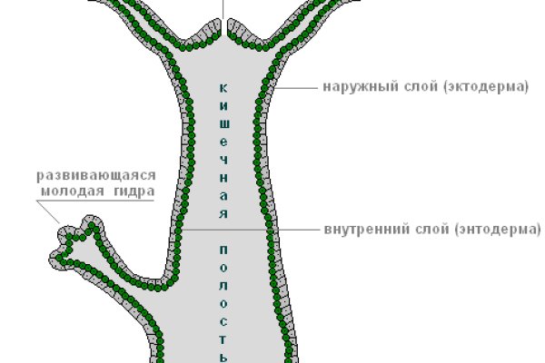 Сайт кракен через тор