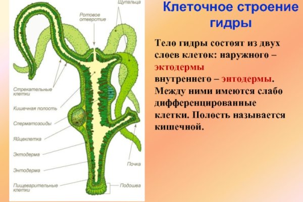 Гидра в даркнете